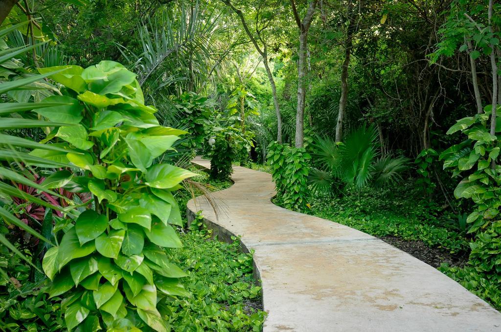 Amarte Maroma Hotel Eco Boutique Spa Punta Maroma Exterior foto