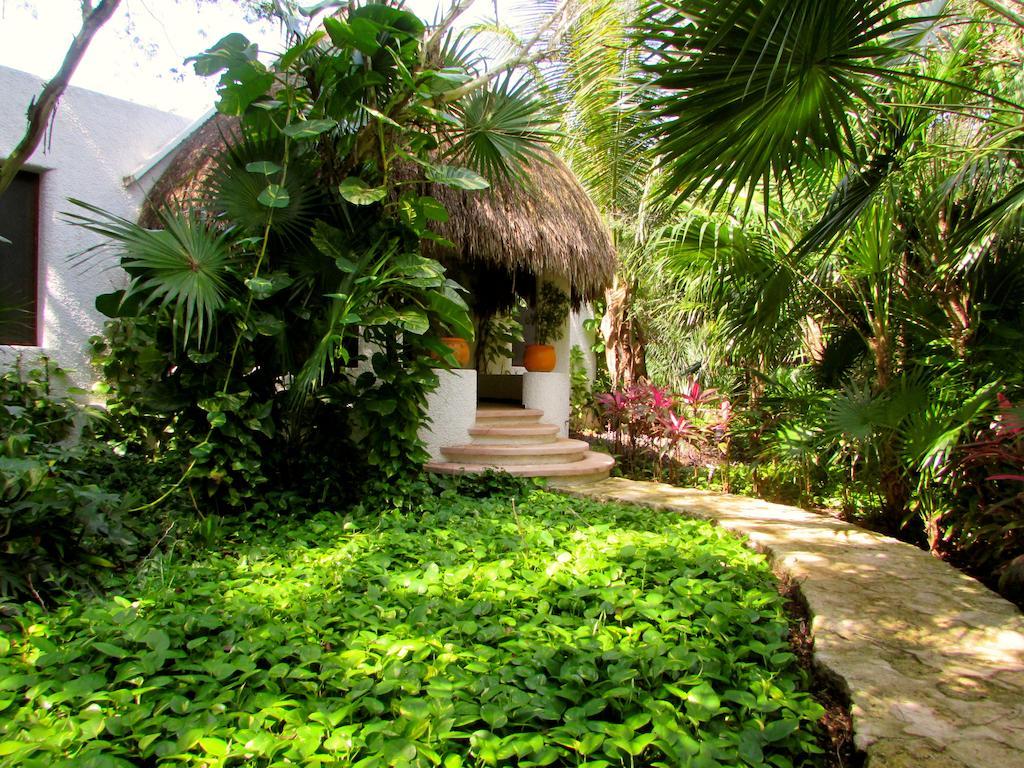 Amarte Maroma Hotel Eco Boutique Spa Punta Maroma Exterior foto